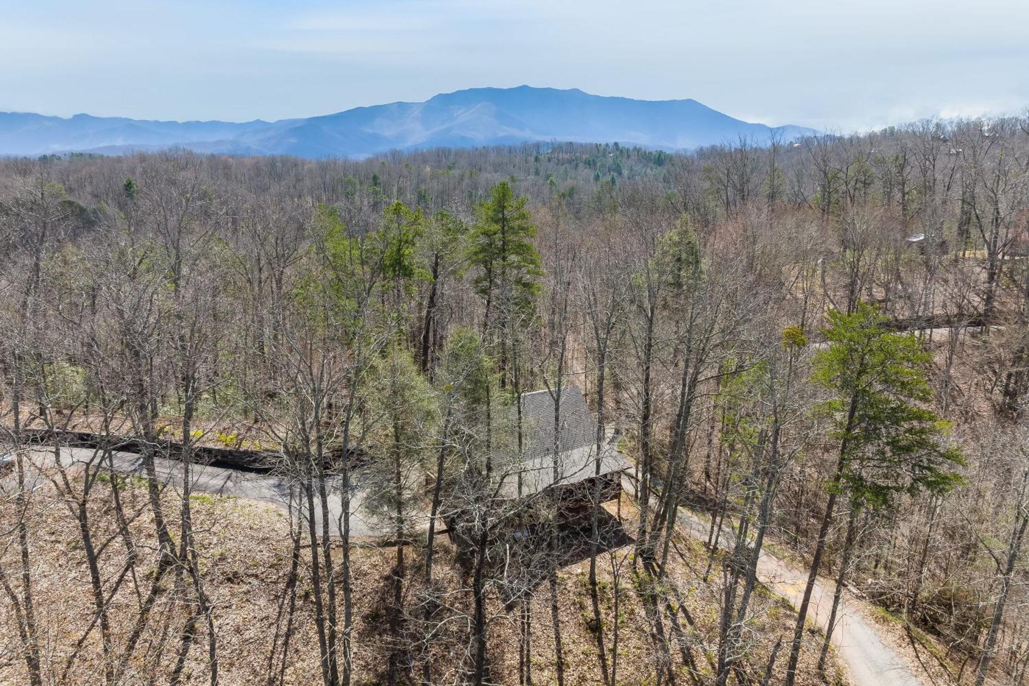 Dudley II By Avantstay Comfortable Cabin W Hot Tub Views Pigeon Forge Luaran gambar